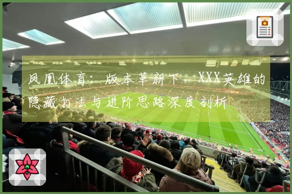 凤凰体育：版本革新下，XXX英雄的隐藏打法与进阶思路深度剖析