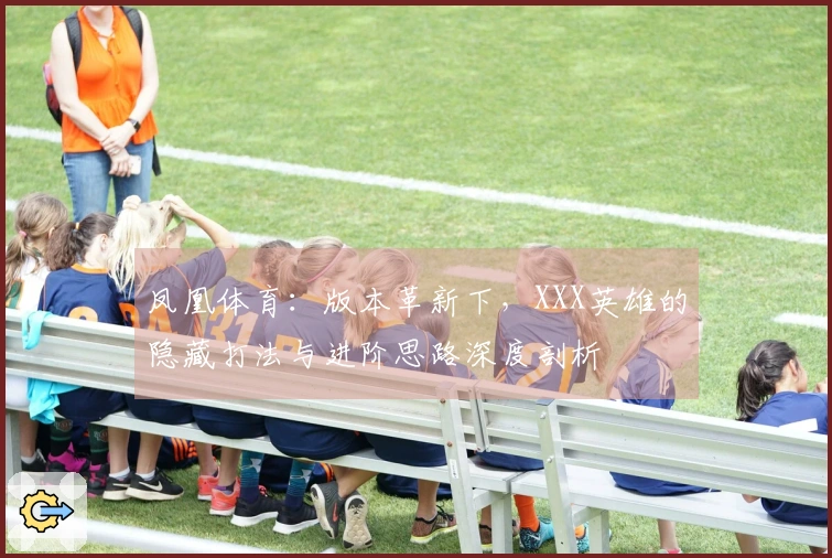 凤凰体育：版本革新下，XXX英雄的隐藏打法与进阶思路深度剖析