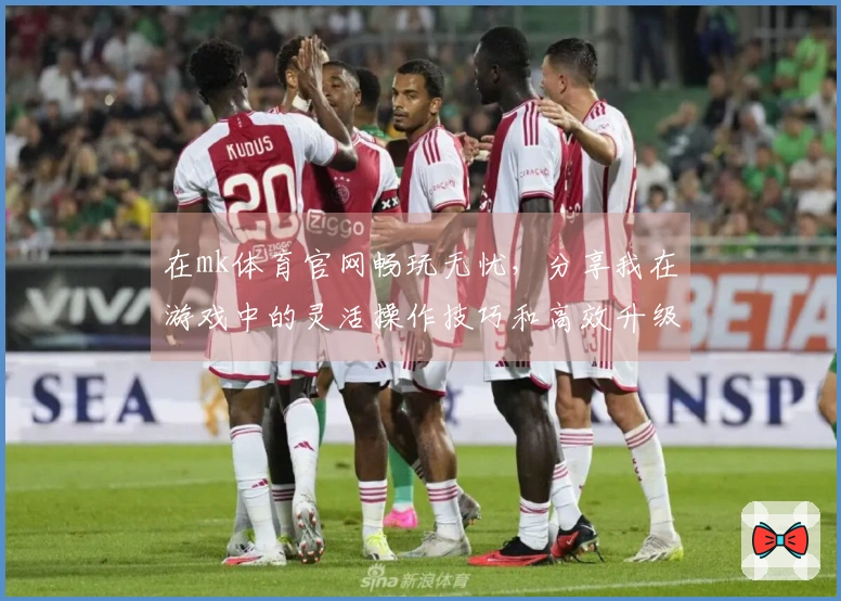 在mk体育官网畅玩无忧，分享我在游戏中的灵活操作技巧和高效升级心得！